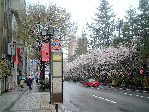 写真(82) /busstop/gazo512/gazo20030412/kohrinbo3-5080c.jpg