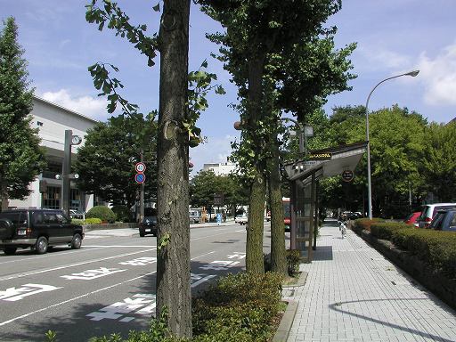 写真(82) /busstop/gazo512/gazo20040821/hondamachi1-8210830c.jpg