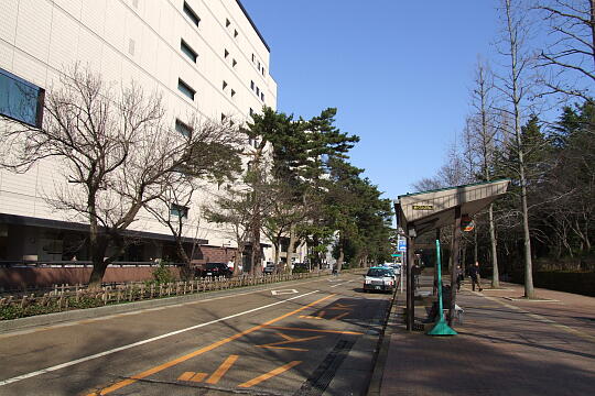 写真(82) /busstop/gazo540/gazo20080211/kohrinbo-2bDSCF6998.JPG