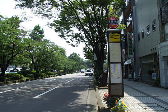 写真(81) /busstop/gazo540/gazo20090818/kohrinbo-3bDSCF8492.JPG