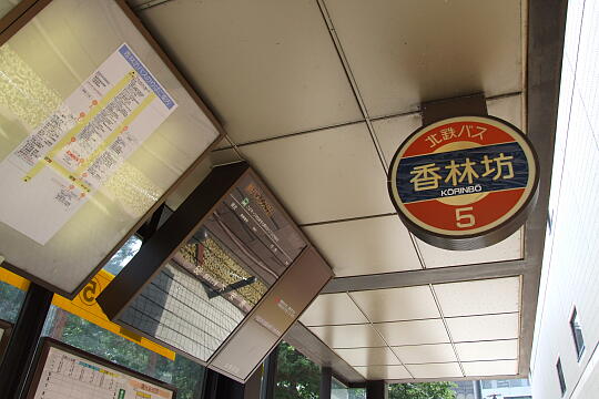 写真(83) /busstop/gazo540/gazo20090818/kohrinbo-5cDSCF8527.JPG