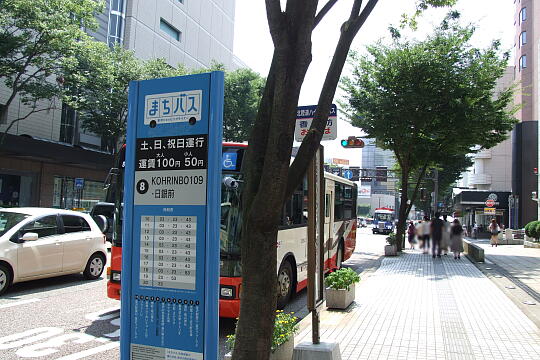 写真(83) /busstop/gazo540/gazo20090818/kohrinbo-7cDSCF8569.JPG