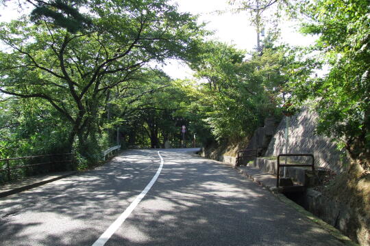 写真(81) /busstop/gazo540/gazo20090921/toyokunijinjamae-1bDSCF0036.JPG