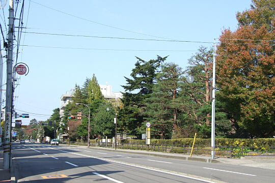 写真(82) /busstop/gazo540/gazo20091107/ishibikicho-2cDSCF1715.JPG