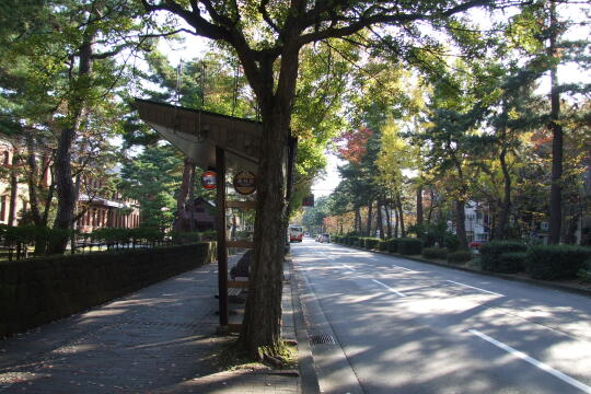 写真(81) /busstop/gazo540/gazo20091107/kohrinbo-1bDSCF1332.JPG