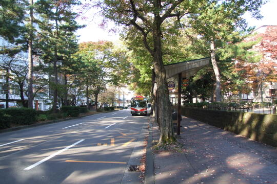 写真(82) /busstop/gazo540/gazo20091107/kohrinbo-1cDSCF1336.JPG