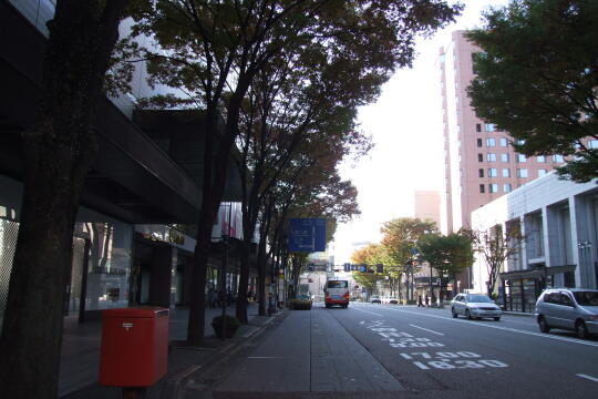 写真(82) /busstop/gazo540/gazo20091107/kohrinbo-4aDSCF1360.JPG