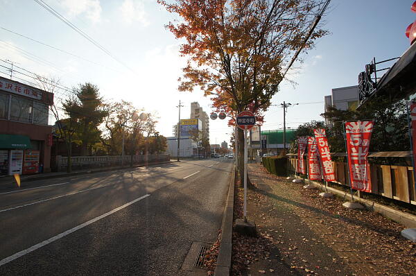 写真(11) /busstop/gazo600/gazo20101120/jingujimachi-aDSC04793.JPG