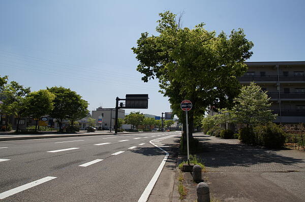 写真(11) /busstop/gazo600/gazo20130512/suzumidai1chome-dDSC05201.JPG