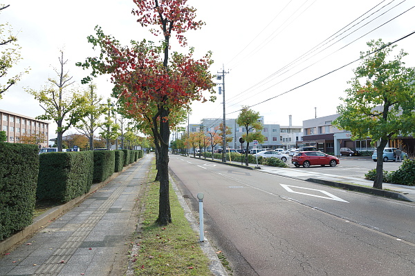 写真(22) /busstop/gazo600/gazo20191022/miraibyoin-acDSC03863.JPG