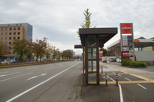 写真(22) /busstop/gazo600/gazo20191024/ekinishigodochoshamae-abDSC06082.JPG