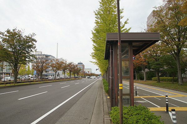 写真(23) /busstop/gazo600/gazo20191024/ekinishigodochoshamae-bbDSC06043.JPG