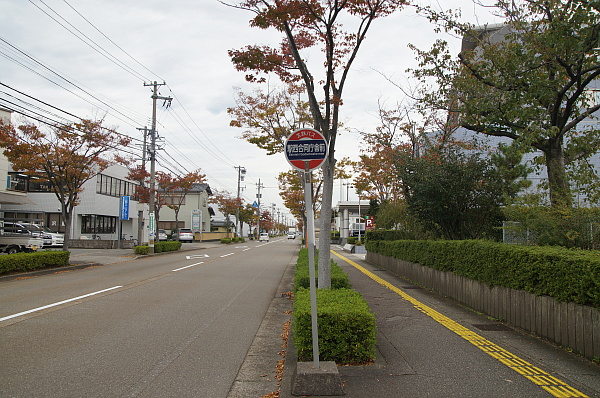 写真(21) /busstop/gazo600/gazo20191024/ekinishigodochoshamae-cbDSC05999.JPG