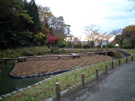 卯辰山　花菖蒲園 の写真(89) 2001年11月18日