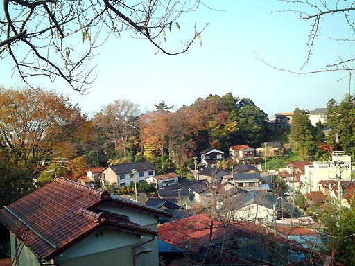 竜国寺 の写真(86) 2001年11月23日