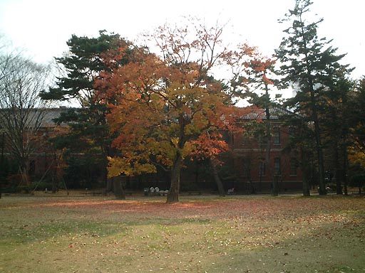 石川近代文学館 の写真(87) 2001年11月25日