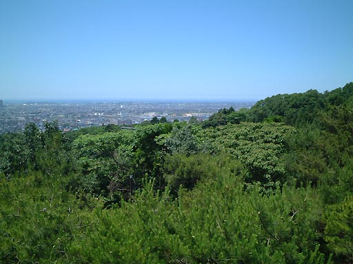 卯辰山　望湖台 の写真(83) 2002年06月01日