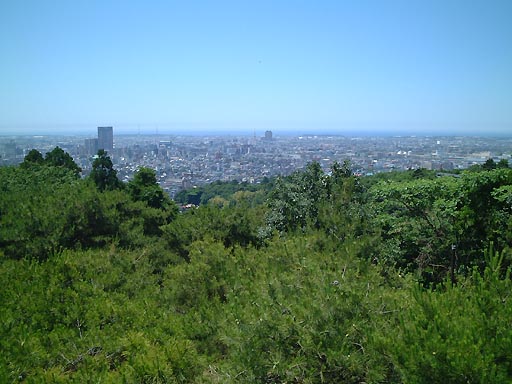 卯辰山　望湖台 の写真(85) 2002年06月01日