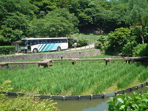 卯辰山　花菖蒲園 の写真(85) 2002年06月01日