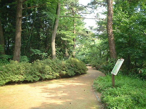 卯辰山　月見台 の写真(87) 2002年06月08日