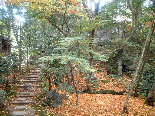 西田家庭園 の写真(87) 2003年11月23日