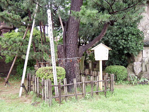 宝泉寺 の写真(81) 2004年06月26日