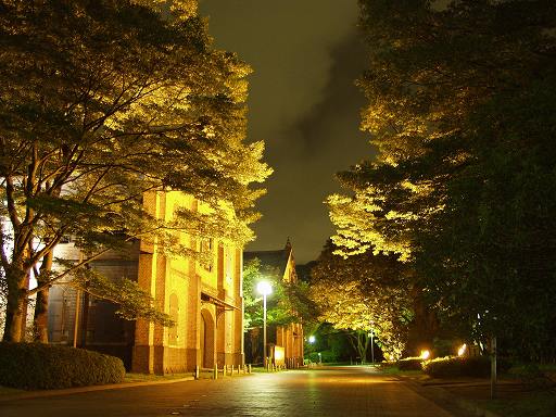 県立歴史博物館 の写真(92) 2004年07月11日