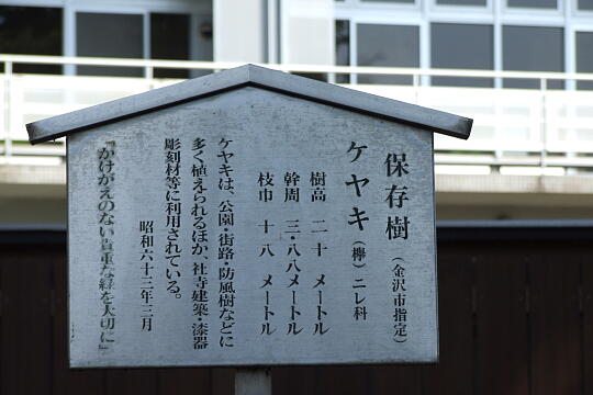 久保市乙剣宮 の写真(84) 2009年08月18日