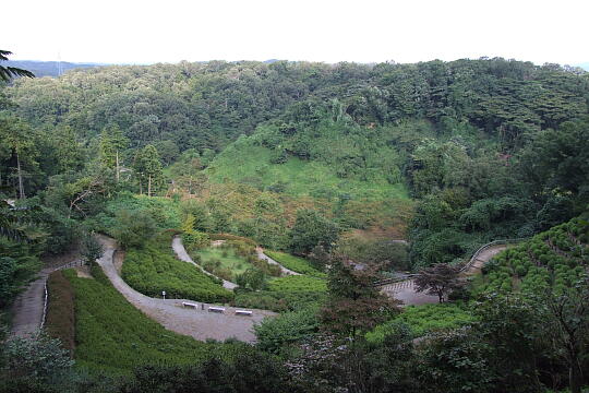 卯辰山公園花木園 の写真(82) 2009年09月21日