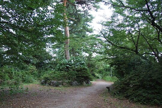 卯辰山　月見台 の写真(82) 2009年09月21日