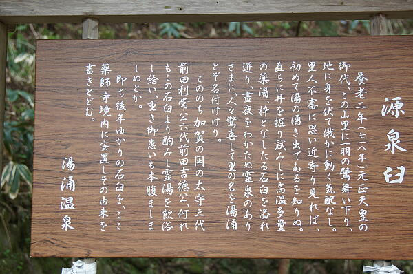 薬師寺 の写真(22) 2013年04月17日