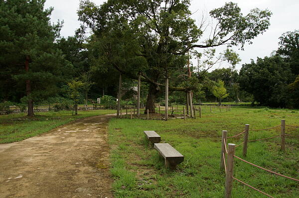 湯涌散策園（上の園地） の写真(16) 2013年09月01日