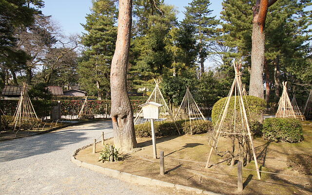 /kenrokuen/gazo20130317/heiseiDSC08658.JPG