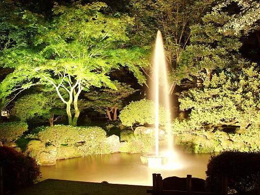 /kenrokuen/gazo512/gazo040613/ken-funsui-night0232.jpg