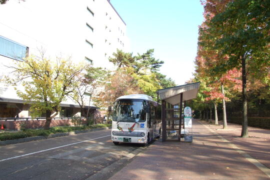 写真(86) /loopbus/gazo540/gazo20091107/fzaim-kohrinbo-bDSCF1345.JPG