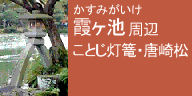 霞ヶ池・ことじ灯籠・唐崎松