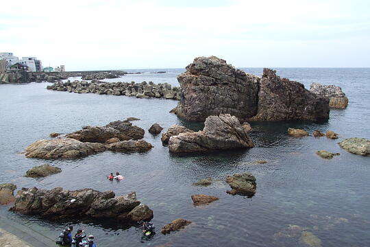 壁石浜海水浴場 の写真(87) 2007年09月02日