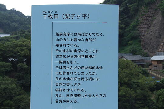 梨子ケ平 千枚田 の写真(85) 2007年09月02日