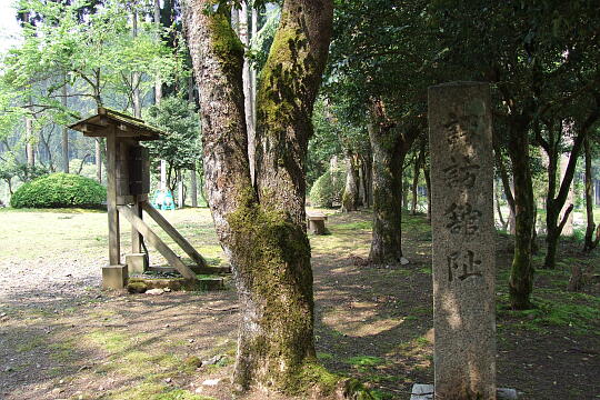 一乗谷朝倉遺跡（５） の写真(82) 2007年05月03日