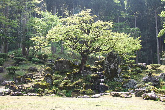 一乗谷朝倉遺跡（５） の写真(85) 2007年05月03日