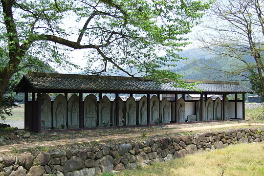 一乗谷 西山光照寺跡 の写真(81) 2007年05月03日