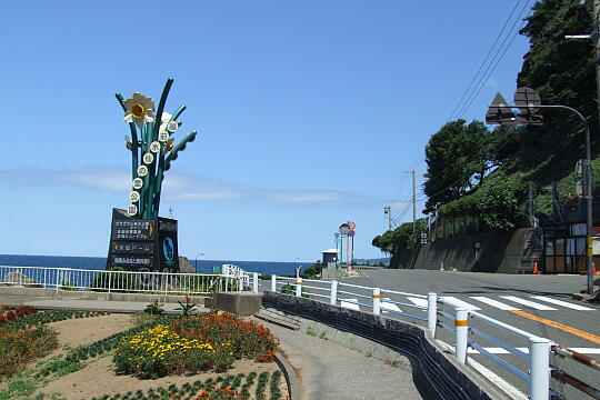 越前水仙の里公園 の写真(82) 2006年09月03日