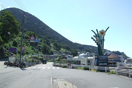 越前水仙の里公園 の写真(83) 2006年09月03日