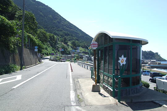 越前水仙の里公園 の写真(84) 2006年09月03日