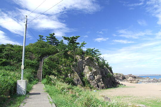 鷹巣遊歩道（１） の写真(81) 2007年09月16日