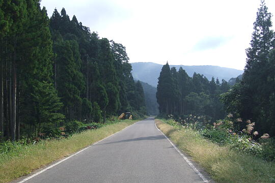 鉄道跡らしいカーブ の写真(81) 2006年09月23日