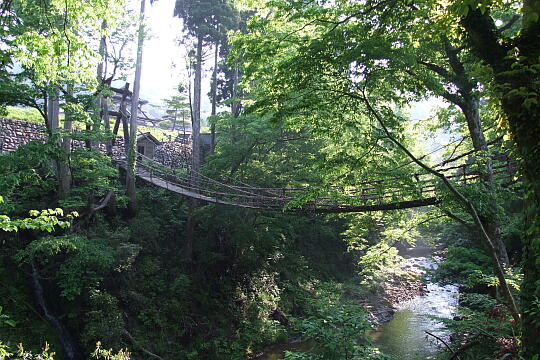 足羽川遊歩道 の写真(83) 2008年05月18日