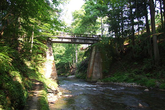 足羽川遊歩道 の写真(86) 2008年05月18日