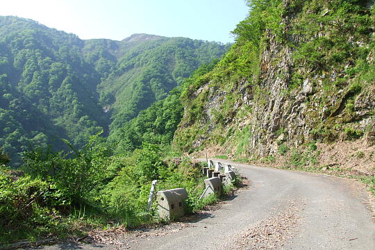 林道冠山線 Point４〜５間 の写真(81) 2008年05月18日