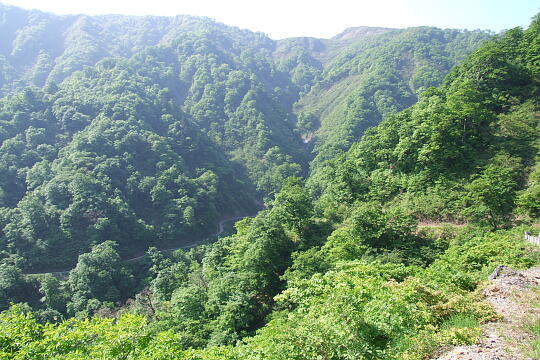 林道冠山線 Point４〜５間 の写真(82) 2008年05月18日